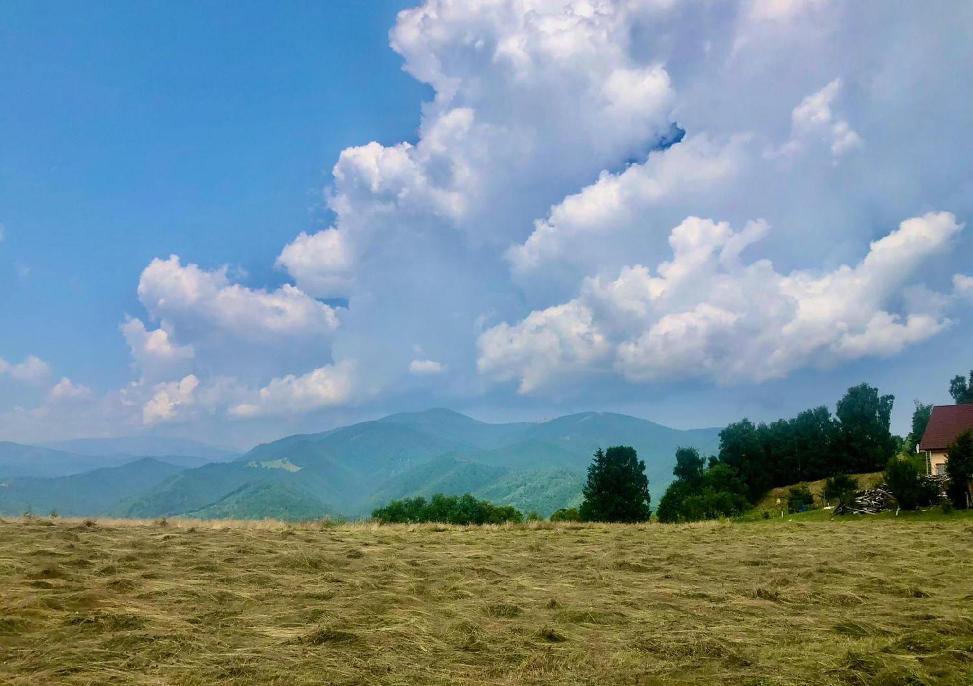Pensiunea Poiana Viselor Poiana Mărului Esterno foto