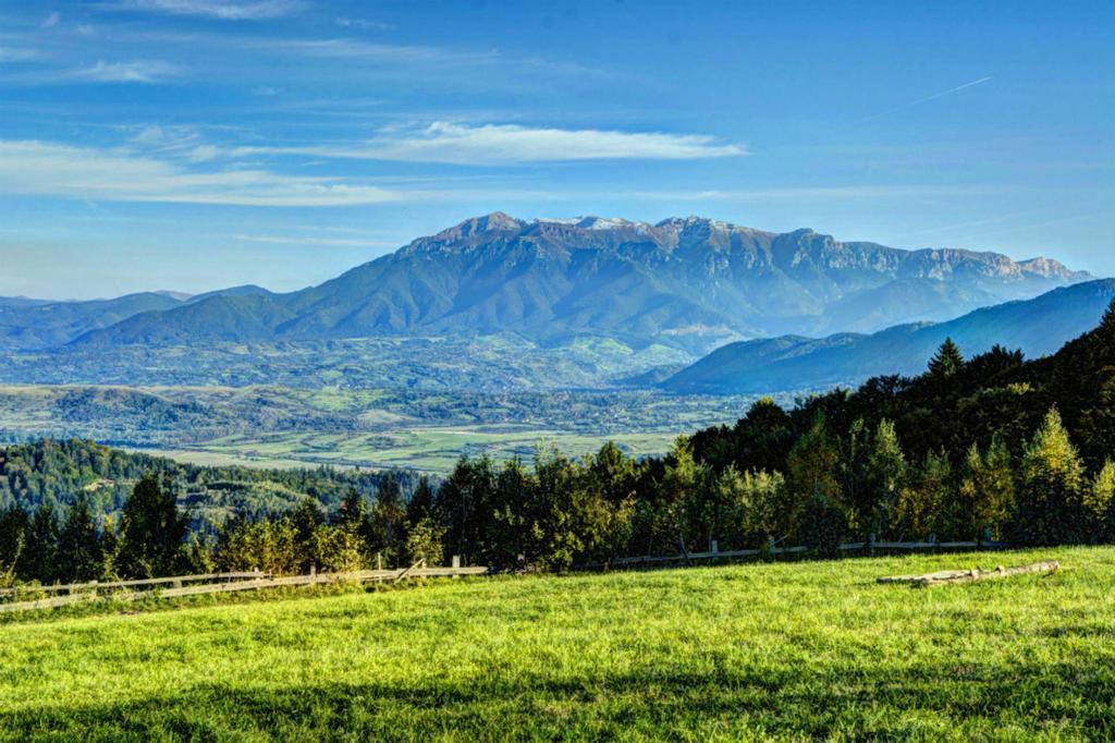 Pensiunea Poiana Viselor Poiana Mărului Esterno foto